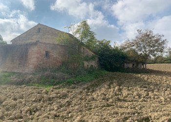 Foto 8 - Casa indipendente Contrada San Procolo, Monte Vidon Combatte - foto 8