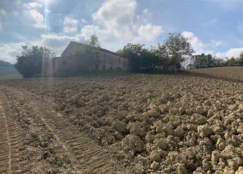 Foto 9 - Casa indipendente Contrada San Procolo, Monte Vidon Combatte - foto 9