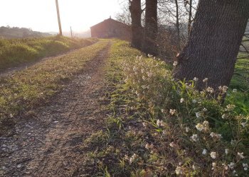Foto 5 - Casa indipendente Contrada Colle San Martino, Corridonia - foto 5