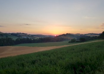 Foto 10 - Casa indipendente Contrada Colle San Martino, Corridonia - foto 10