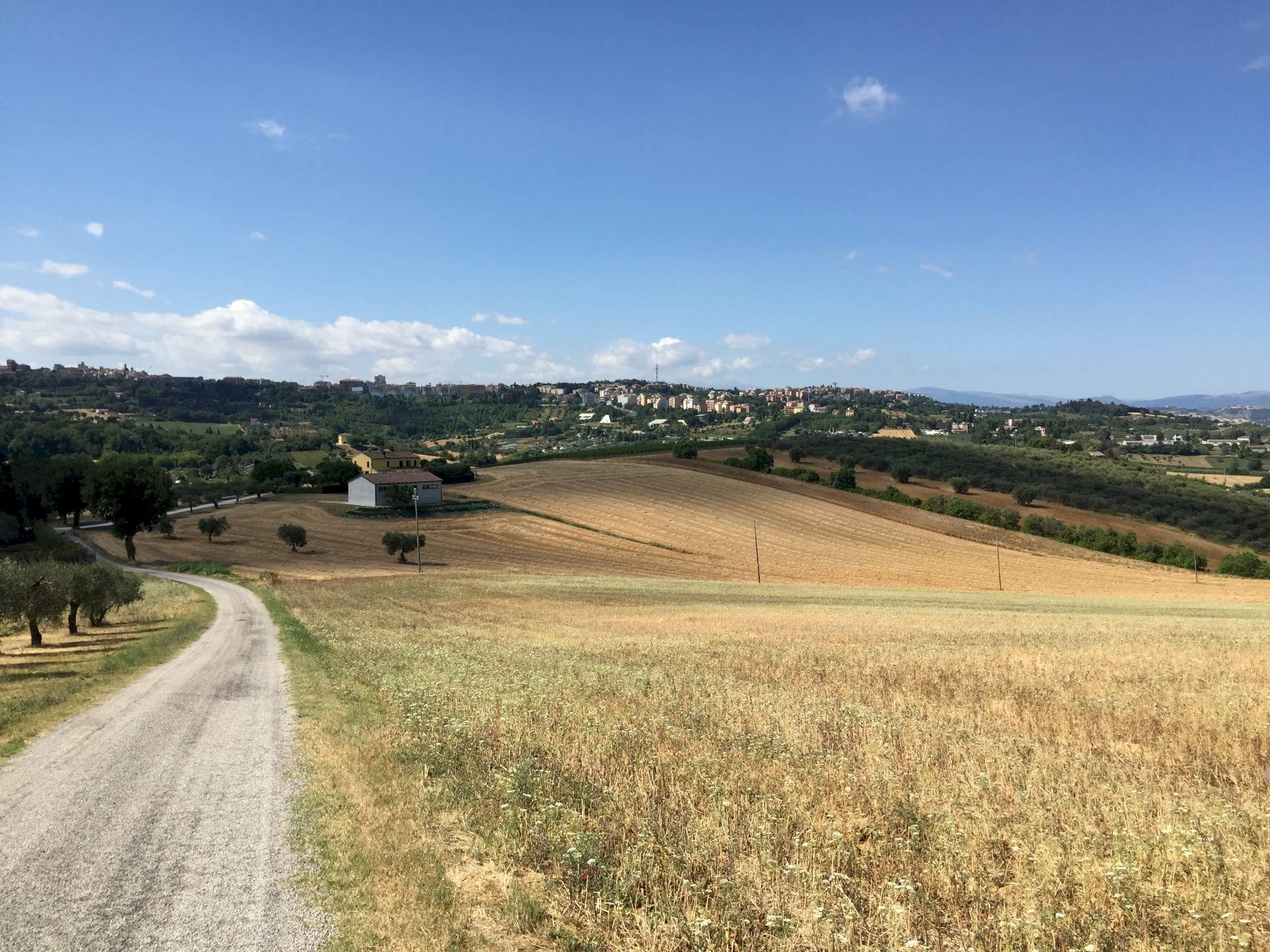 Foto 1 - Terreno agricolo Contrada Furiasse, Macerata - foto 1