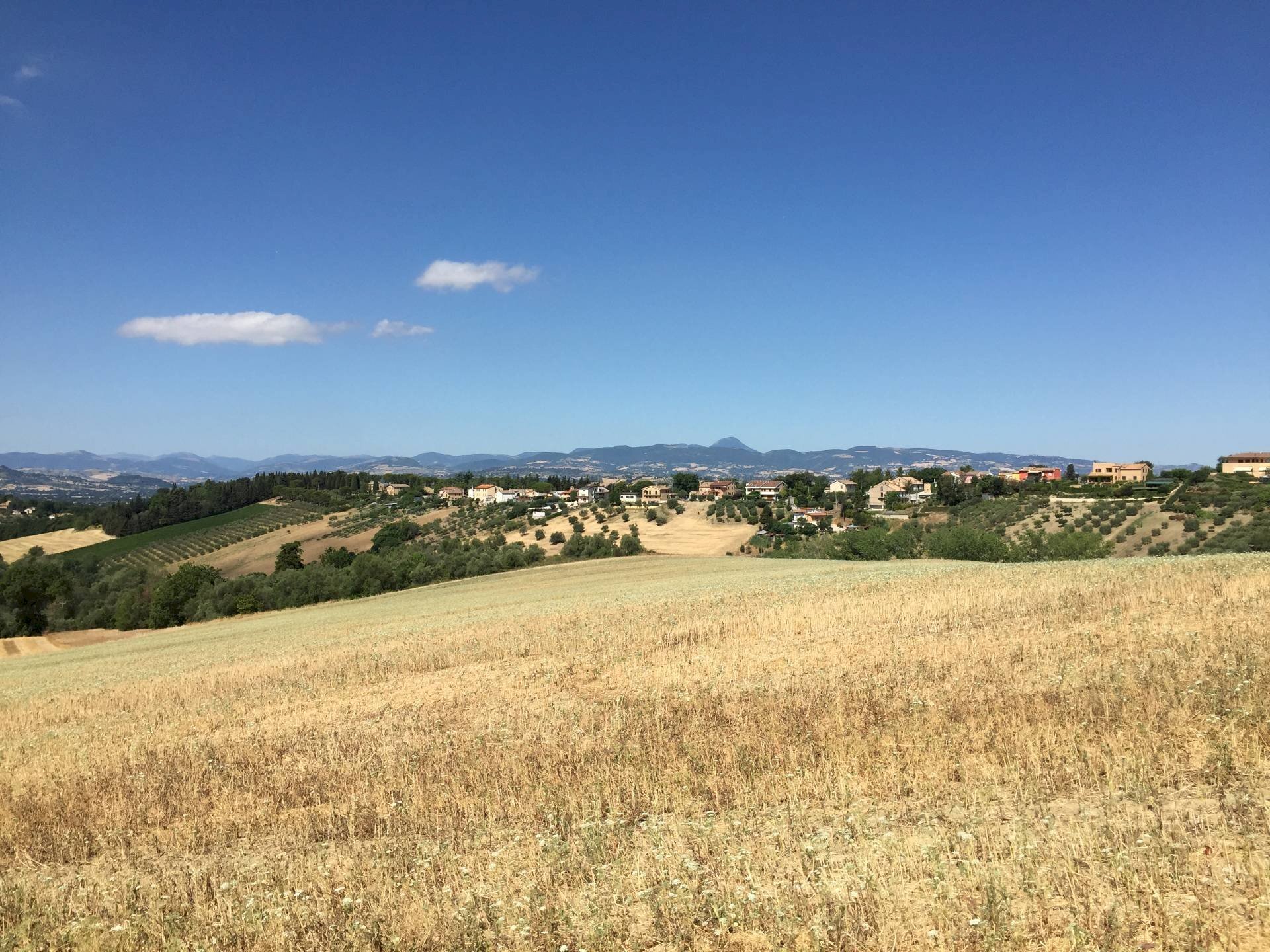 Foto 2 - Terreno agricolo Contrada Furiasse, Macerata - foto 2
