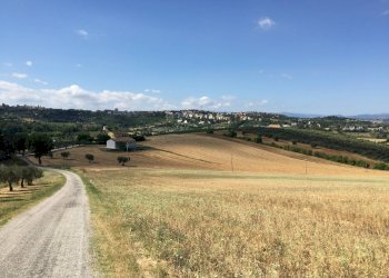 Foto 1 - Terreno agricolo Contrada Furiasse, Macerata - foto 1