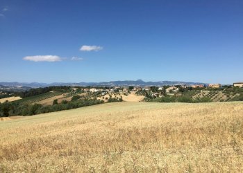 Foto 2 - Terreno agricolo Contrada Furiasse, Macerata - foto 2