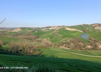 Foto 2 - Casa indipendente Contrada Fusa, Francavilla d'Ete - foto 2