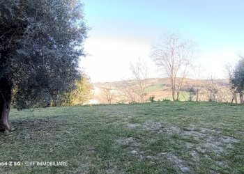 Foto 8 - Casa indipendente Contrada Fusa, Francavilla d'Ete - foto 8