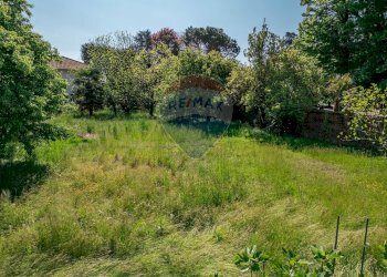 Giardino - Terreno edificabile Piazza I Maggio
 
23, Cairate - foto 5