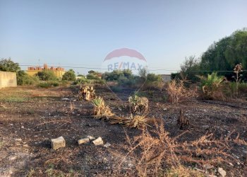 Giardino - Terreno edificabile Via Marecchia
 
sn, Ragusa - foto 4