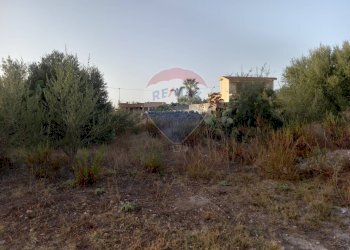 Giardino - Terreno edificabile Via Marecchia
 
sn, Ragusa - foto 5
