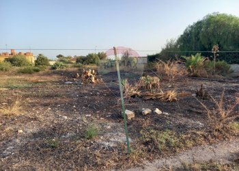 Giardino - Terreno edificabile Via Marecchia
 
sn, Ragusa - foto 6