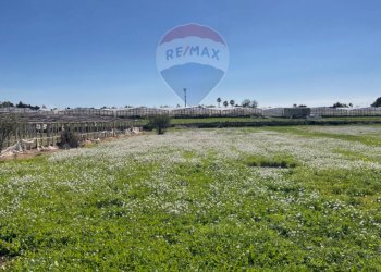 Giardino - Rustico CONTRADA PIANO GRANDE
 
SNC, Scicli - foto 4