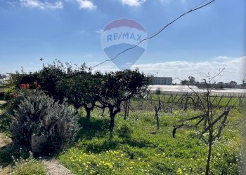 Vista delle montagne - Rustico CONTRADA PIANO GRANDE
 
SNC, Scicli - foto 5