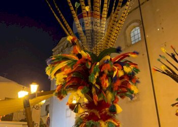 Dettagli - Rustico CONTRADA PIANO GRANDE
 
SNC, Scicli - foto 14