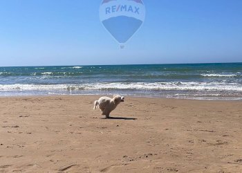 Vista dell\'acqua - Villa Contrada Barone
 
Snc, Scicli - foto 13