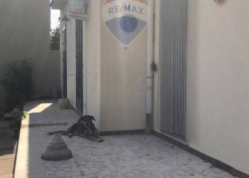 Terrazza - Villa Contrada Barone
 
Snc, Scicli - foto 28