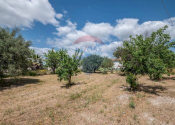 Giardino - Casa indipendente Via Vanella 177
 
1, Modica - foto 27