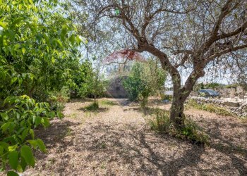 Giardino - Casa indipendente Via Vanella 177
 
1, Modica - foto 31