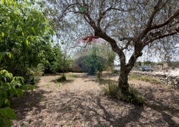 Giardino - Casa indipendente Via Vanella 177
 
1, Modica - foto 32
