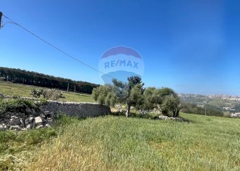 Giardino - Rustico Contrada Sant'Icono, Ragusa - foto 24