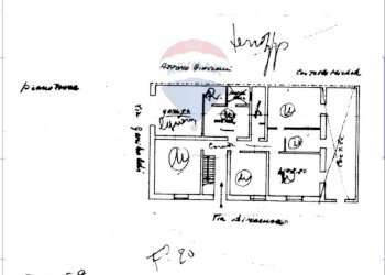 Pianta 2D - Casa indipendente Via Siracusa
 
6, Giarratana - foto 50