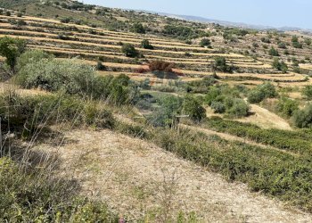 Vista delle montagne - Terreno agricolo Contrada Crucià, Modica - foto 8