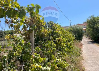 Giardino - Terreno agricolo via Isaia
 
snc, Scicli - foto 5