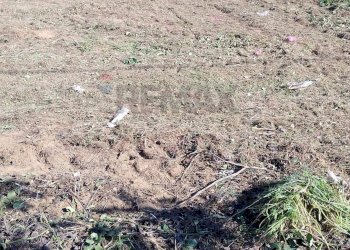 Vista delle montagne - Terreno agricolo via Isaia
 
snc, Scicli - foto 19