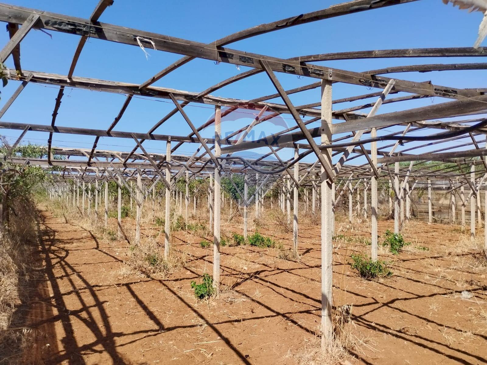 Non correlato - Agricultural land contrada maccione
 
s.n.c., Acate - photo 1