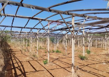 Non correlato - Terreno agricolo contrada maccione
 
s.n.c., Acate - foto 1