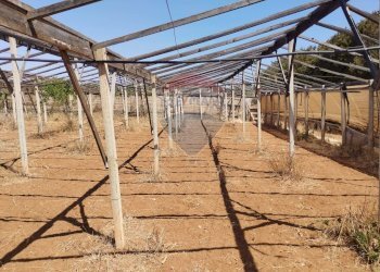 Terrazza - Terreno agricolo contrada maccione
 
s.n.c., Acate - foto 2