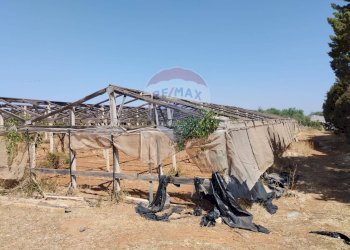 Casa all\'aperto - Terreno agricolo contrada maccione
 
s.n.c., Acate - foto 8