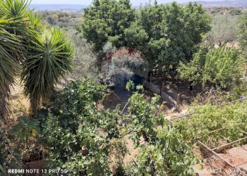 Giardino - Villa STRADA PROVINCIALE 53
 
13, Ragusa - foto 14