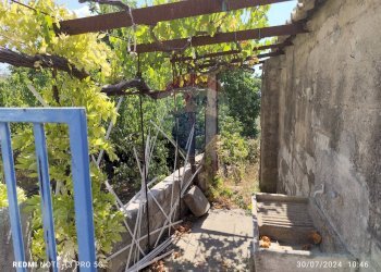 Giardino - Villa STRADA PROVINCIALE 53
 
13, Ragusa - foto 16