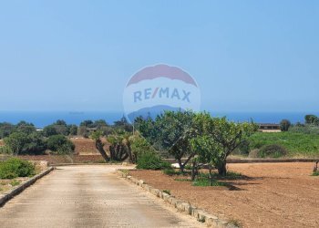 Giardino - Villa via Paganini, Scicli - foto 9