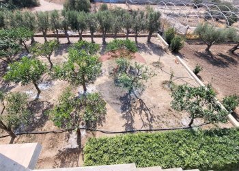 Giardino - Villa via Paganini, Scicli - foto 26