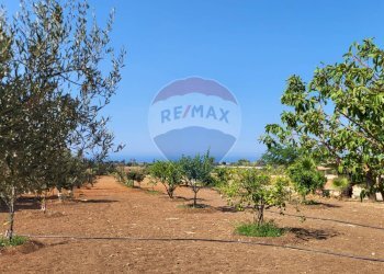 Giardino - Villa via Paganini, Scicli - foto 27