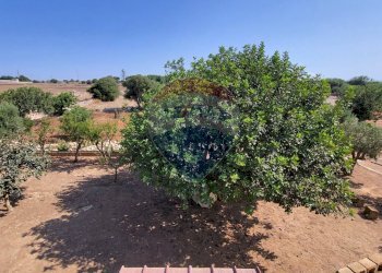 Giardino - Villa via Paganini, Scicli - foto 32