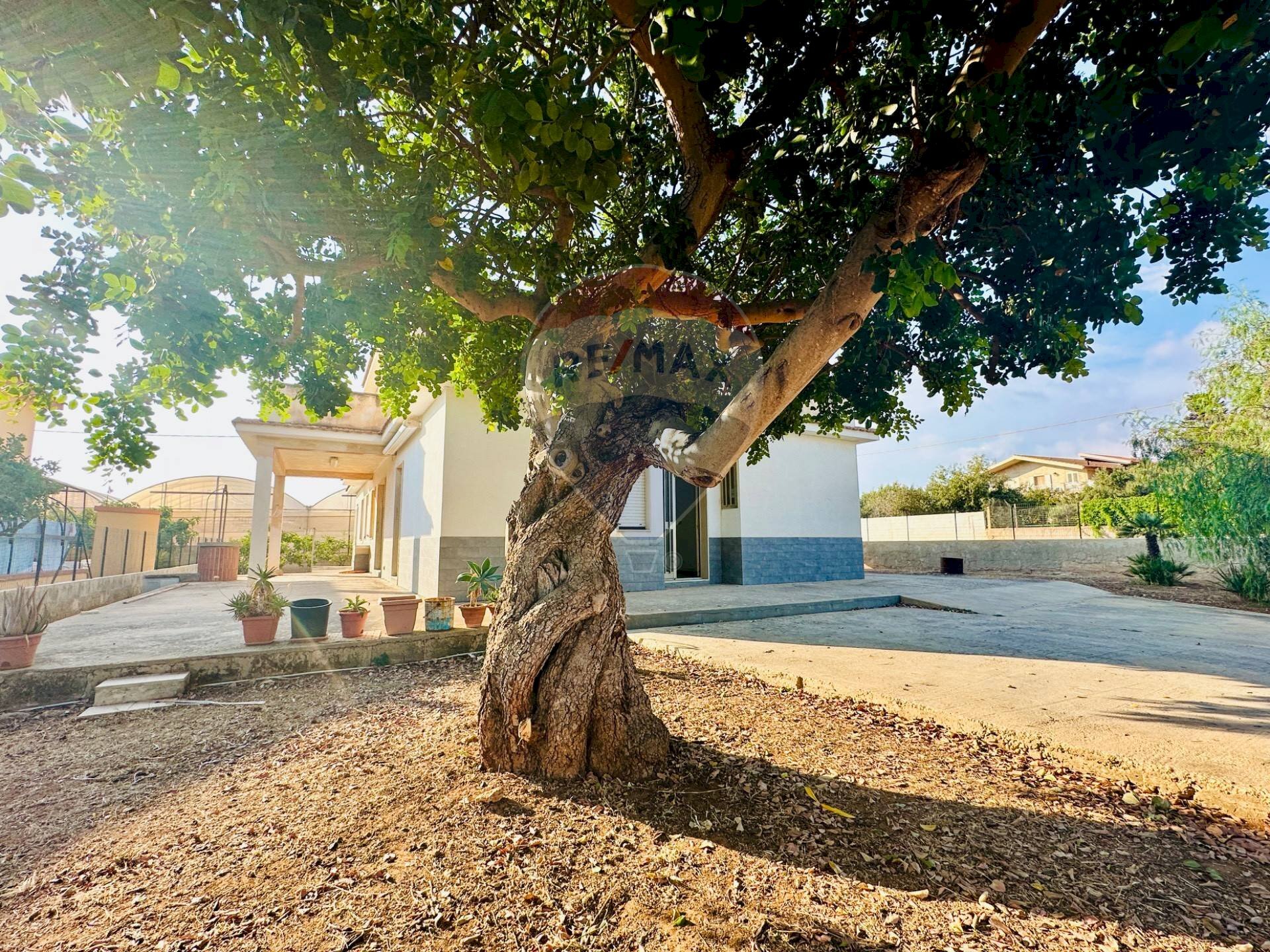 Giardino - Villa C.da Pellegrino, Santa Croce Camerina - foto 2