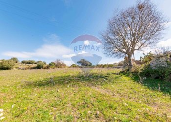 Giardino - Rustico Ragusa - foto 10