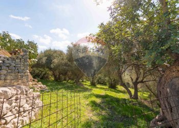 Giardino - Rustico Ragusa - foto 12