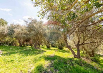 Giardino - Rustico Ragusa - foto 13