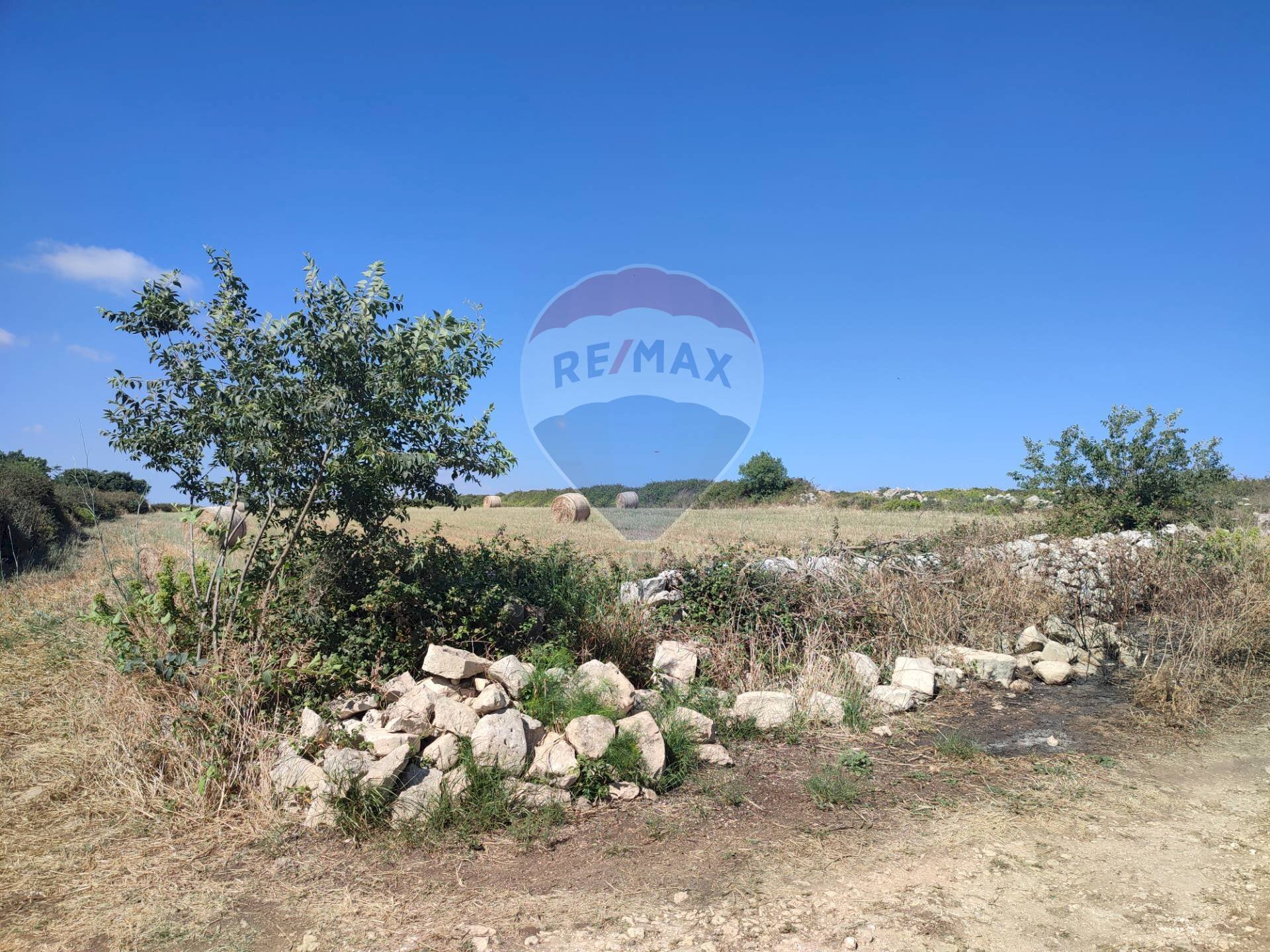 Giardino - Agricultural land C.DA Tribastone, Ragusa - photo 3