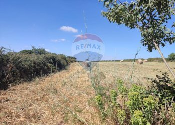 Non correlato - Agricultural land C.DA Tribastone, Ragusa - photo 5