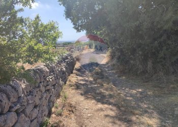 Giardino - Agricultural land C.DA Tribastone, Ragusa - photo 6