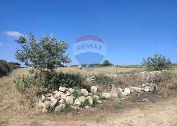 Giardino - Agricultural land C.DA Tribastone, Ragusa - photo 7