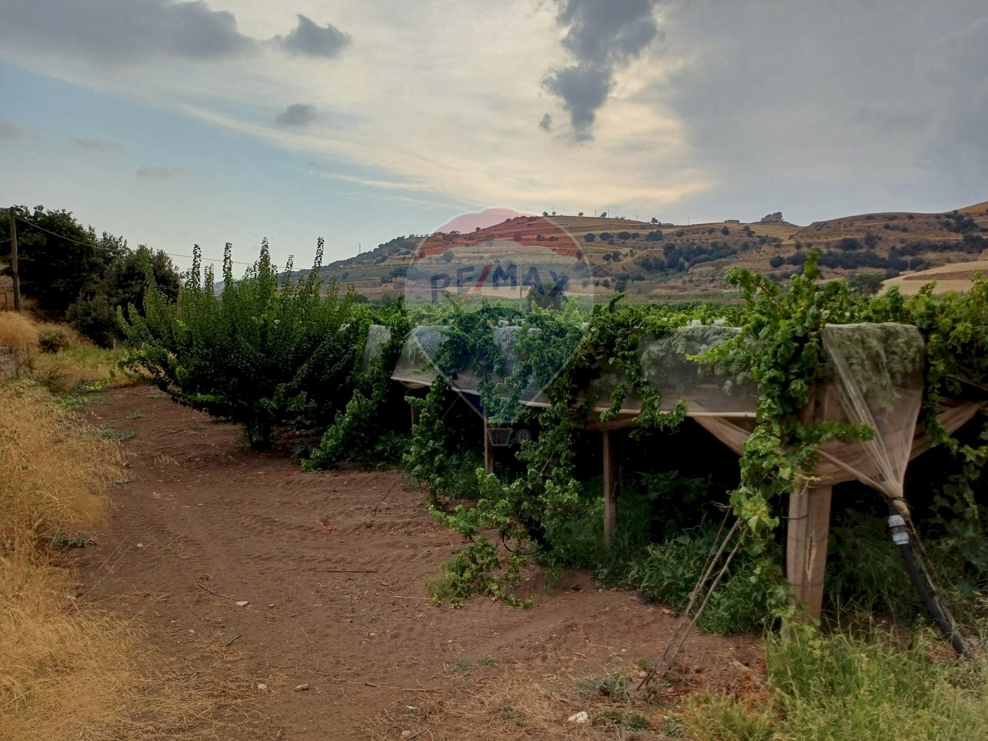 Vista delle montagne - Terreno agricolo C/da Mazzarronello, Chiaramonte Gulfi - foto 3