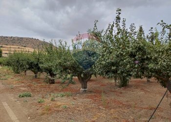Giardino - Terreno agricolo C/da Mazzarronello, Chiaramonte Gulfi - foto 2