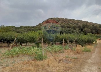 Vista delle montagne - Terreno agricolo C/da Mazzarronello, Chiaramonte Gulfi - foto 5