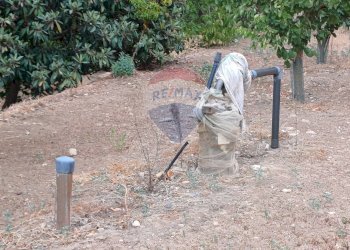Giardino - Terreno agricolo C/da Mazzarronello, Chiaramonte Gulfi - foto 9