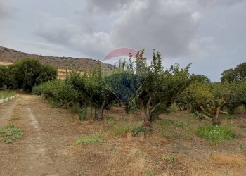 Giardino - Terreno agricolo C/da Mazzarronello, Chiaramonte Gulfi - foto 10